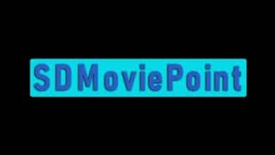 SDMoviesPoint.com and SDMoviesPoint