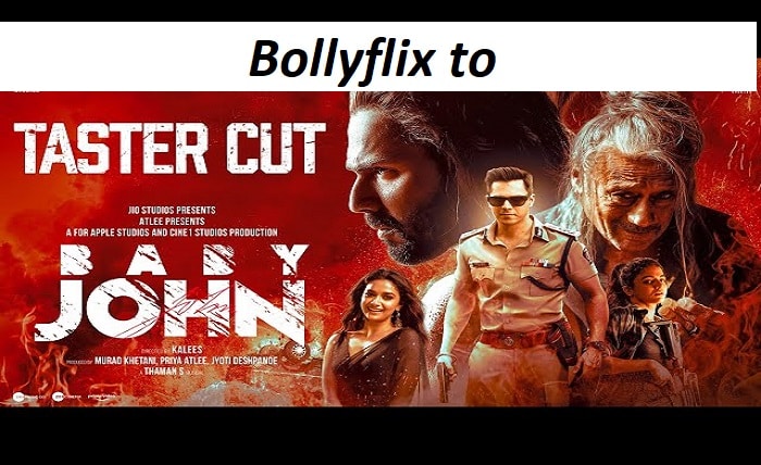 bollyflix to