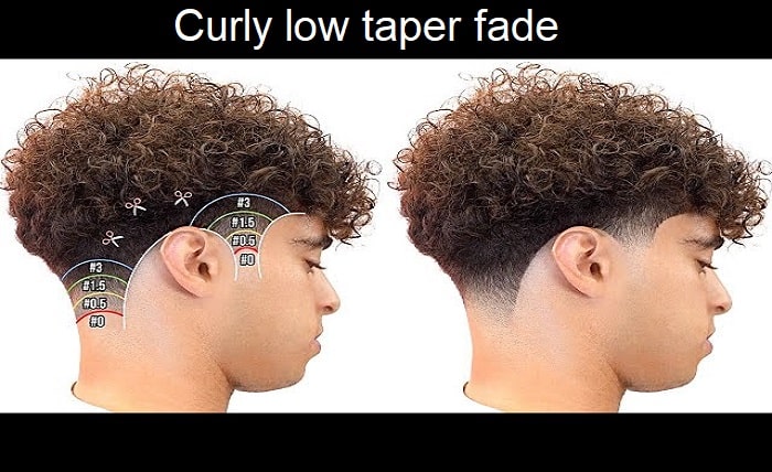 curly low taper fade